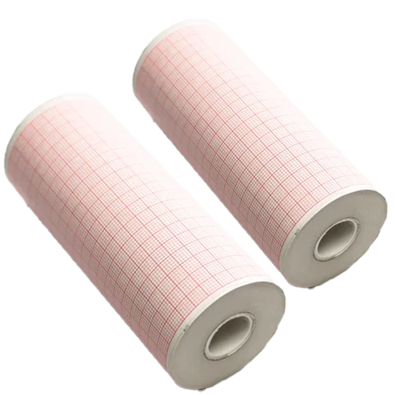 LIFEPAK ECG Paper for LP1000, LP12, LP15 (2 Rolls) 11240000032